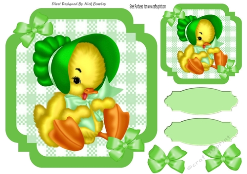Green Check with border  8x8 card front with sitting down duck in bonnet