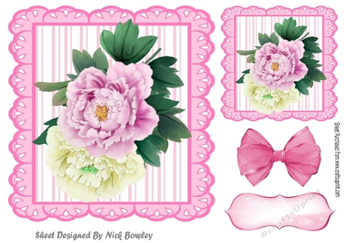 pink stripe eyelet frame 8x8 with pink & cream peonies