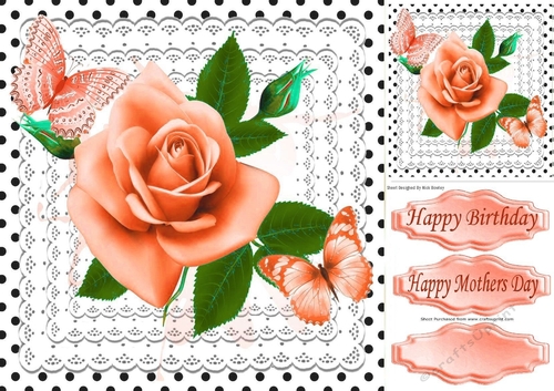 Peach roses polkadots, & lace 8x8