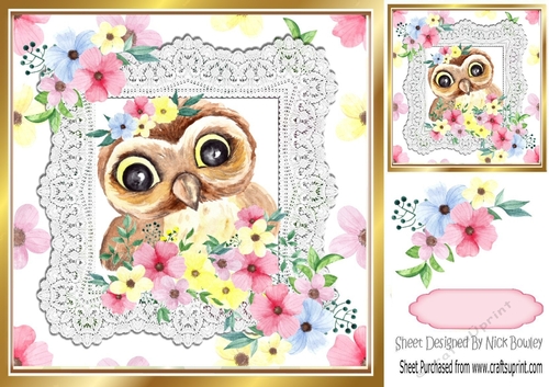 Cute water colour owl in lace and flower frame 8x8