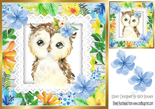 Pretty water colour owl with tropical flowers 8x8