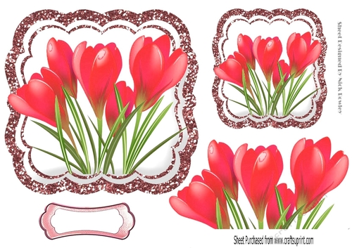 Pretty spring pink crocus toppers with glitter frame