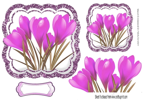 Pretty spring lilac crocus toppers with glitter frame