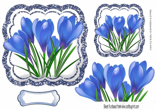 Pretty spring blue crocus toppers with glitter frame