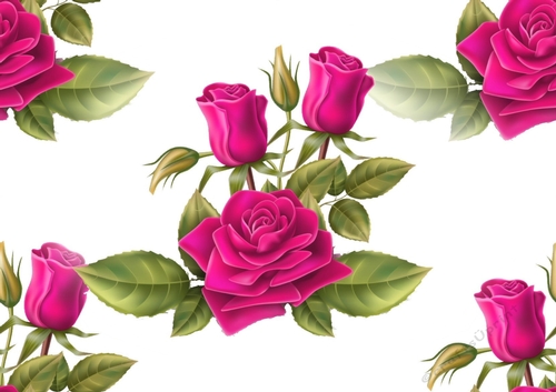 Pretty cerise roses and buds backing paper (big)