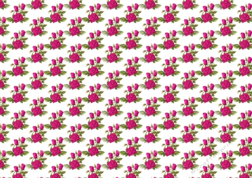 Pretty cerise roses and buds backing paper (small)