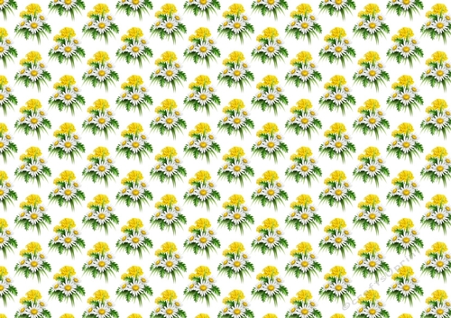pretty white daisies flower arrangement backing paper (small)
