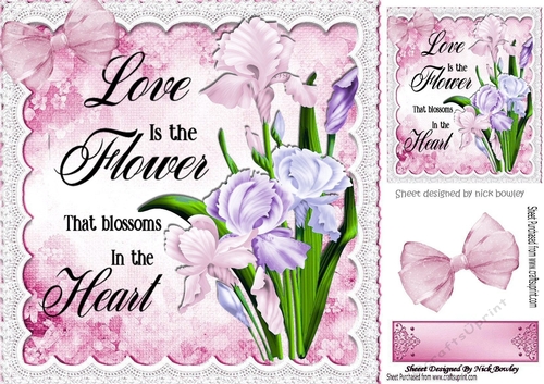 Pretty flowers iris with pink bow and lace 8x8