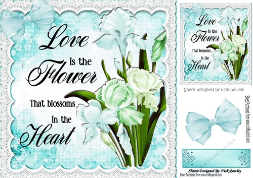 Pretty flowers iris with turq bow and lace 8x8