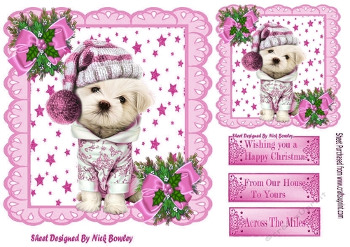 Cute puppy in winter hat with stars pink bows with holly 7x7