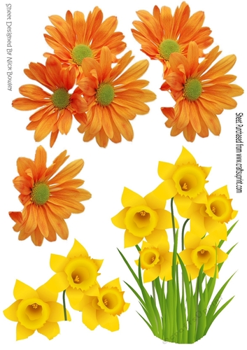 pretty spring flowers daffs and orange flowers cutouts 