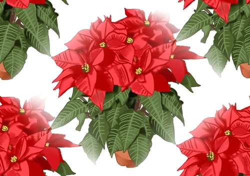 Pretty red poinsettias in a pot backing paper (big)
