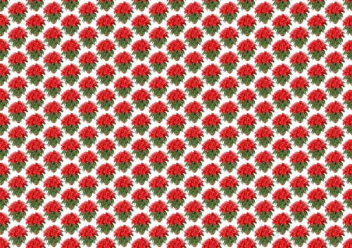 Pretty red poinsettias in a pot backing paper (small)