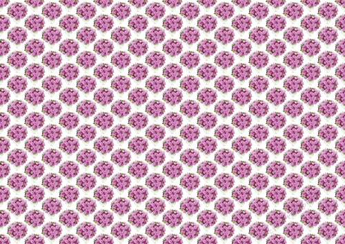 Beautiful shades of pink flowers in glass vase  (small) backing paper