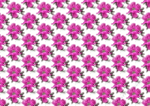 Pretty exotic cerise pink and grey flowers backing paper (small)