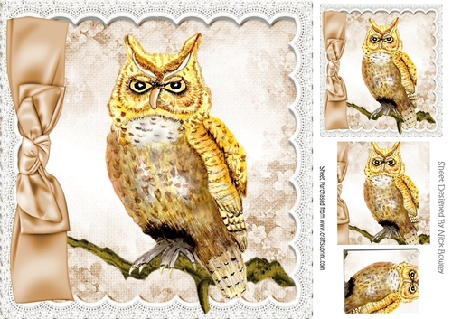 Lovely owl on a branch with lace and bow mable effect frame 8x8