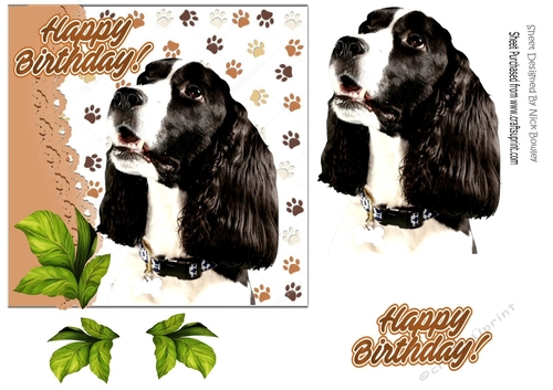 Lovely black and white spaniel dog with leaves 7x7