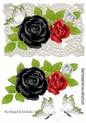 Pretty red/black roses on vintage ecru lace  with butterflies A5