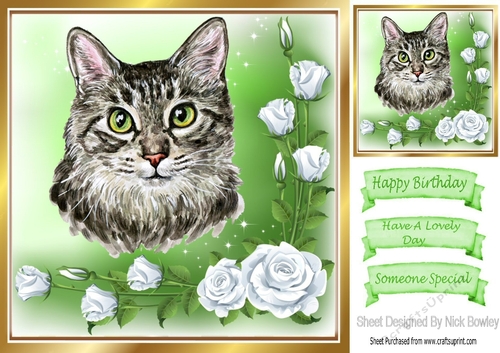 pretty watercolour tabby cat with white rose 8x8 frame