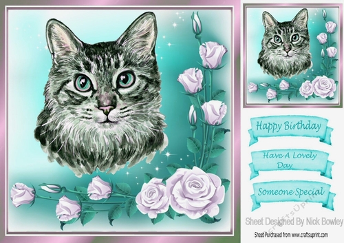 pretty watercolour tabby cat with pink rose 8x8 frame