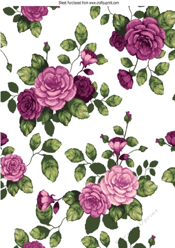 pretty pink shades of water colour rose backing paper
