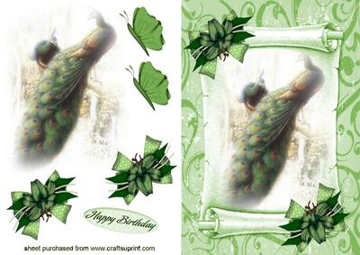 Beautiful Peacocks in Mist on a Scroll