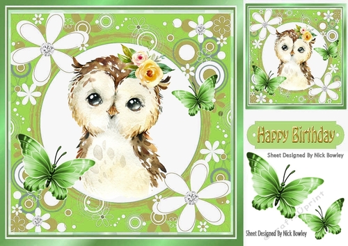 Pretty owl in floral frame with butterflies 7x7