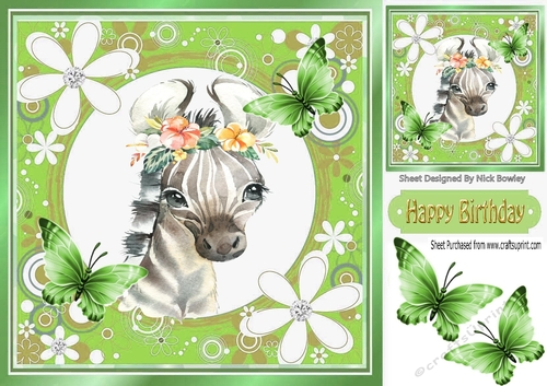 Pretty  zebra in floral frame with butterflies 7x7