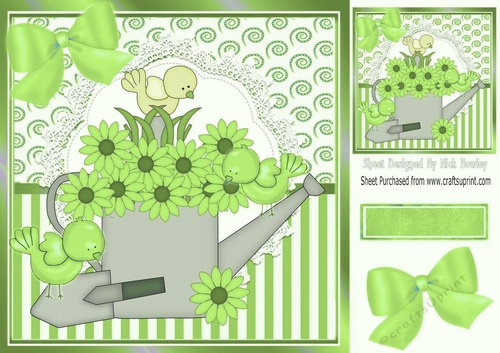 Pretty daisy watering can with  birds and green bow 8x8