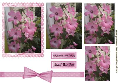 Pink Flowers in a Frame Pyramids