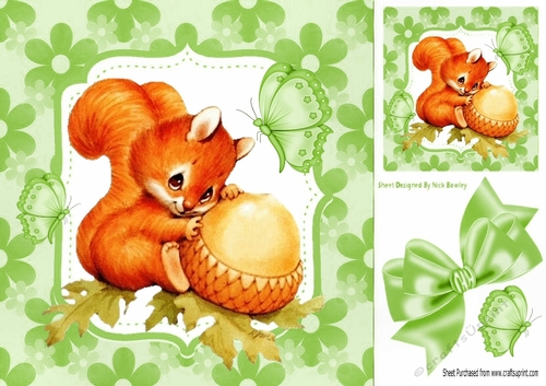 Cute red squirrel with acorn in floral green frame 8x8