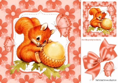 Cute red squirrel with acorn in floral peach frame 8x8
