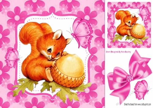 Cute red squirrel with acorn in floral pink frame 8x8