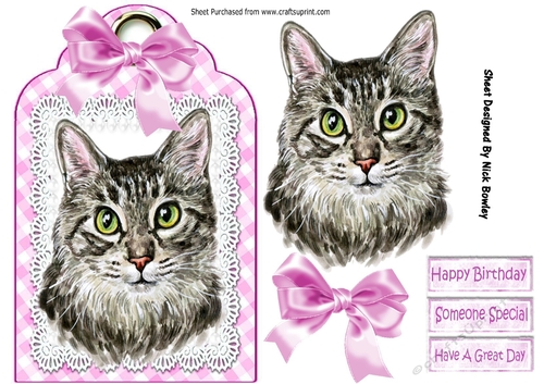 Pretty cat with pink bow on lace tag