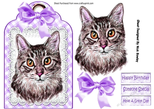 Pretty cat with lilac bow on lace tag