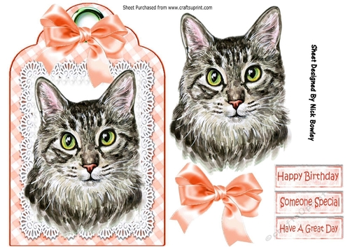 Pretty cat with peach bow on lace tag