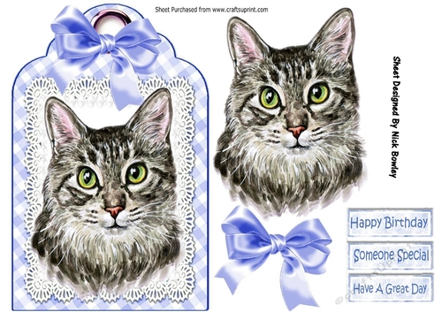 Pretty cat with blue bow on lace tag