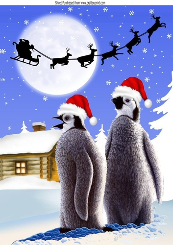 Lovely penguins in snow scene A4
