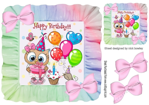 Cute owl with birthday treats in rainbow 7x7 frame