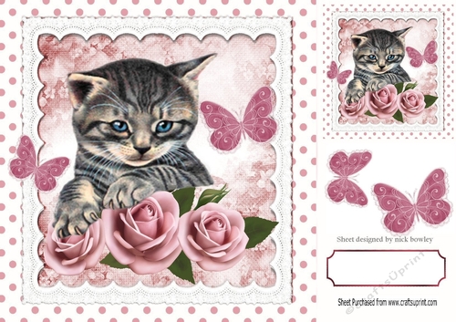 Pretty blush pink roses with kitten and polkadots 8x8