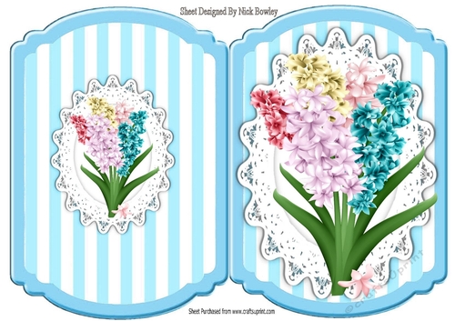 Pretty Hyacinth with stripe on lace turq bracket card