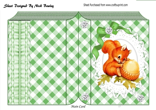 Cute red squirrel on lace in green check folded book