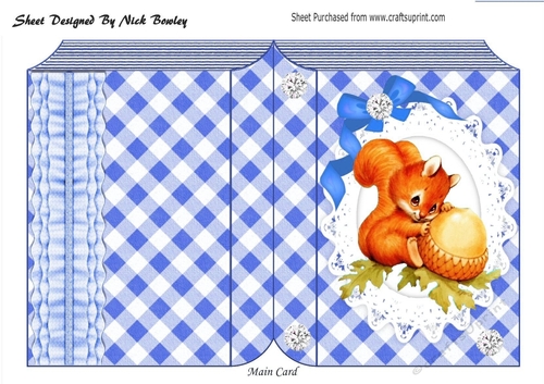 Cute red squirrel on lace in blue check folded book