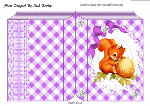 Cute red squirrel on lace in purple check folded book