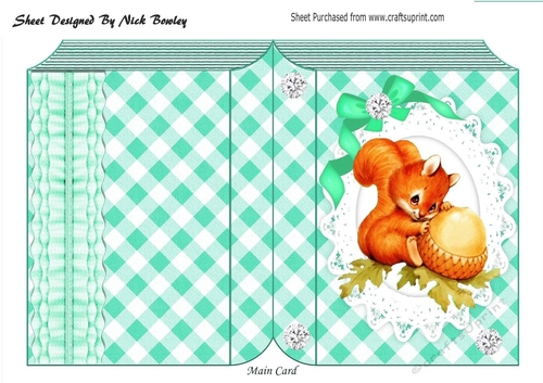 Cute red squirrel on lace in turq check folded book