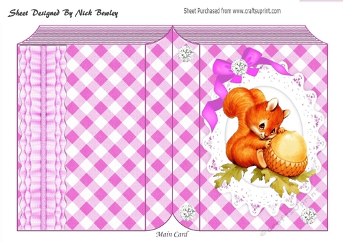 Cute red squirrel on lace in pink check folded book