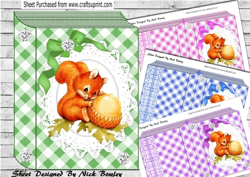  4 Cute red squirrel on lace in check folded book mini kit