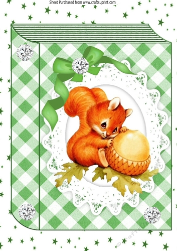 Cute red squirrel on lace in green check book design A4 Card front