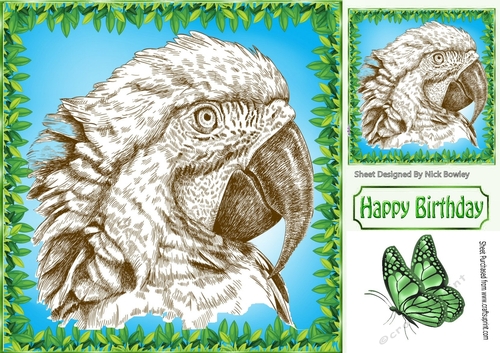 Lovely black and white sketch of a parrot in 8x8 leaf frame