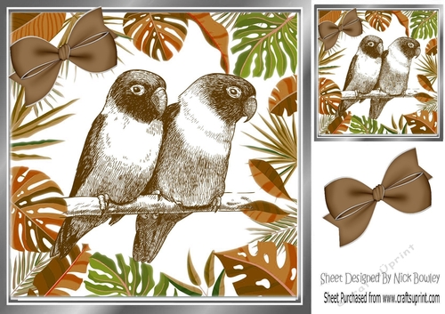 lovely sketch of a pair of love birds in jungle leaf frame with bow 8x8